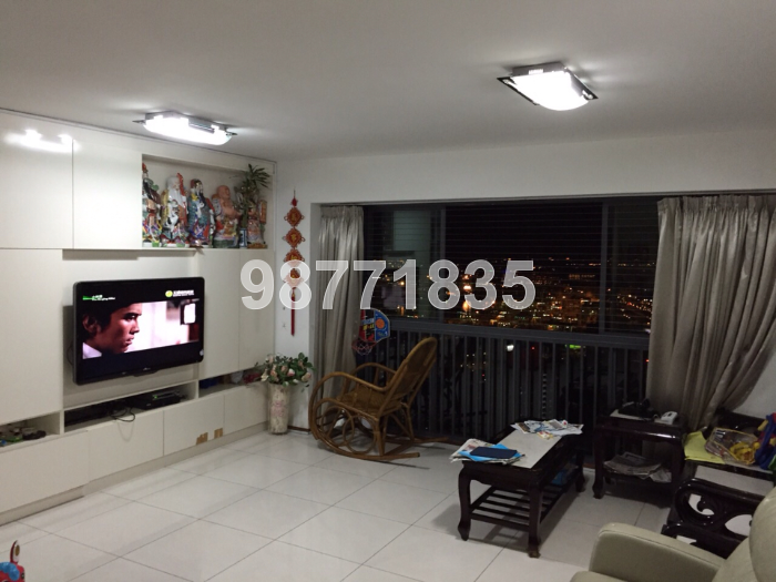 Blk 1C The Pinnacle@Duxton (Bukit Merah), HDB 5 Rooms #40941102